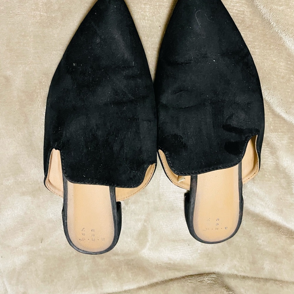 Franco sarto mule